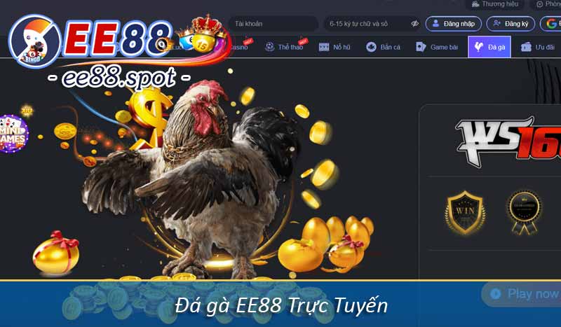Giới Thiệu 9 đá gà ee88 trực tuyến